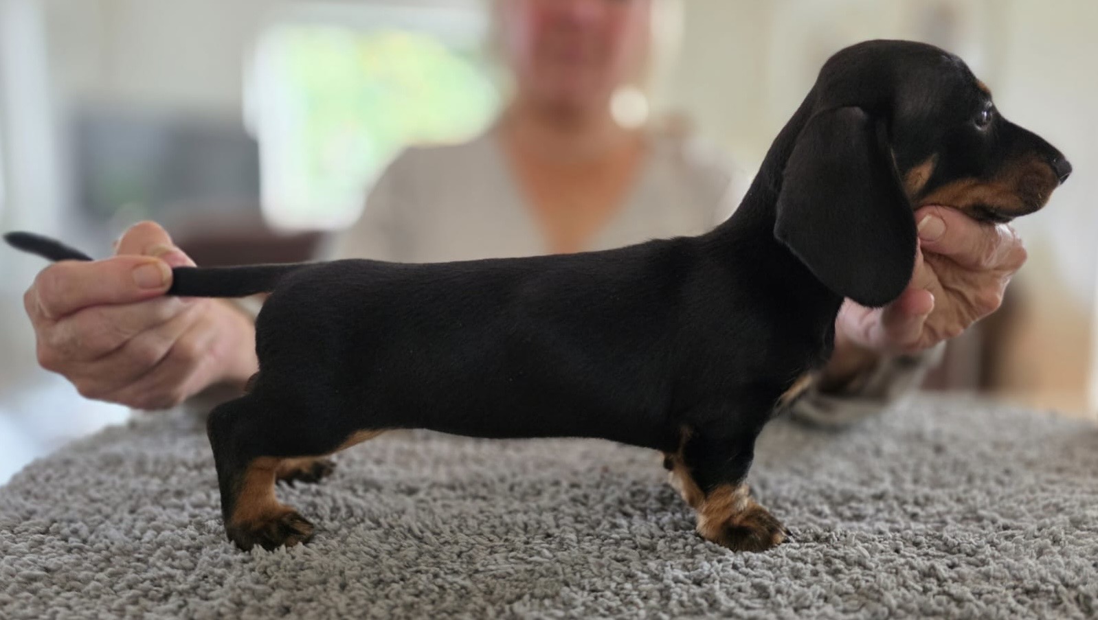 Cewells Kimono ”Ida”